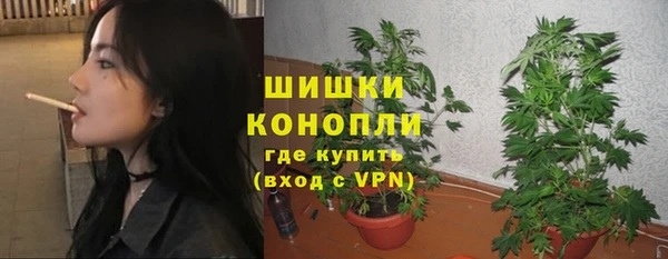 дживик Белокуриха