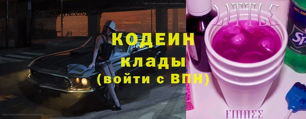 прущие грибы Беломорск