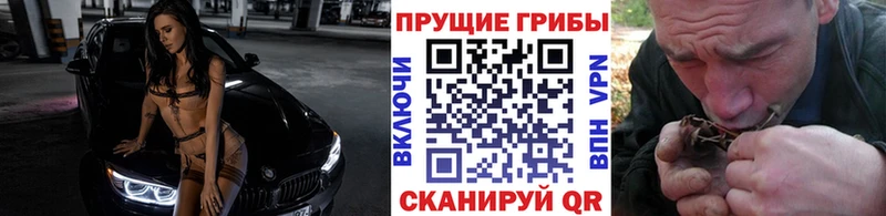 Галлюциногенные грибы GOLDEN TEACHER  магазин    Гвардейск 
